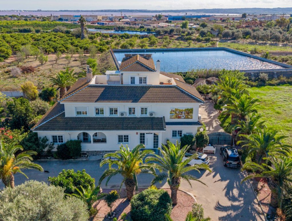 Country House in Torrevieja, Valencian Community, Spain 1 - 16710038