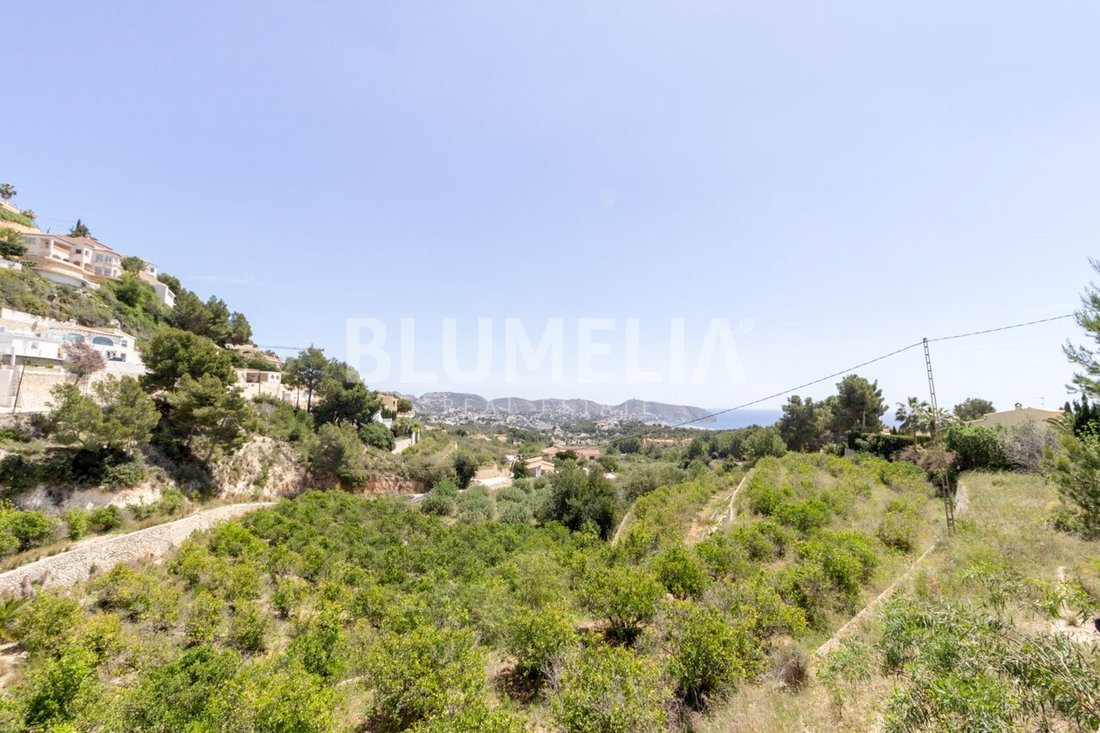 Land in Alicante, Valencian Community, Spain 5 - 10655085