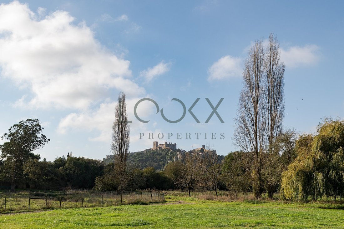 Finca in Santa Maria, Sao Pedro e Sobral da Lagoa, Leiria District, Portugal 3 - 16704692