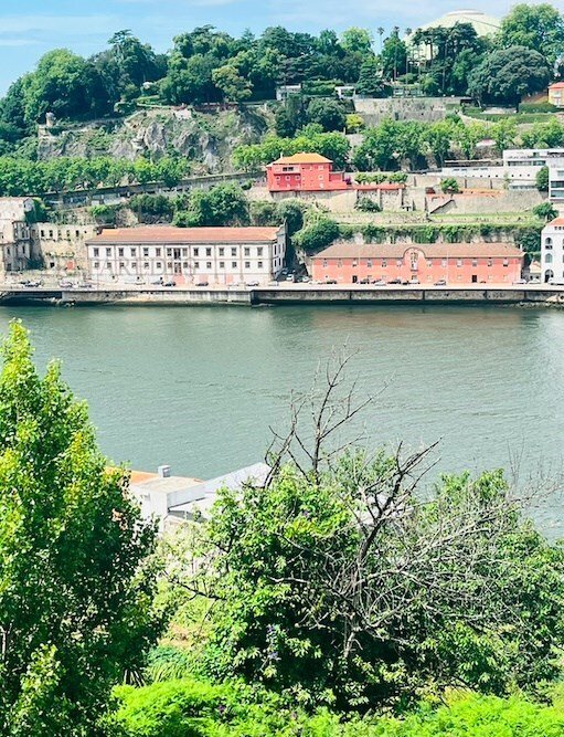 Apartment in Santa Marinha e Sao Pedro da Afurada, Porto District, Portugal 5 - 14560319