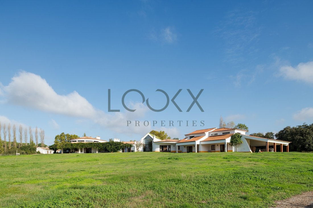 Finca in Santa Maria, Sao Pedro e Sobral da Lagoa, Leiria District, Portugal 4 - 16704692