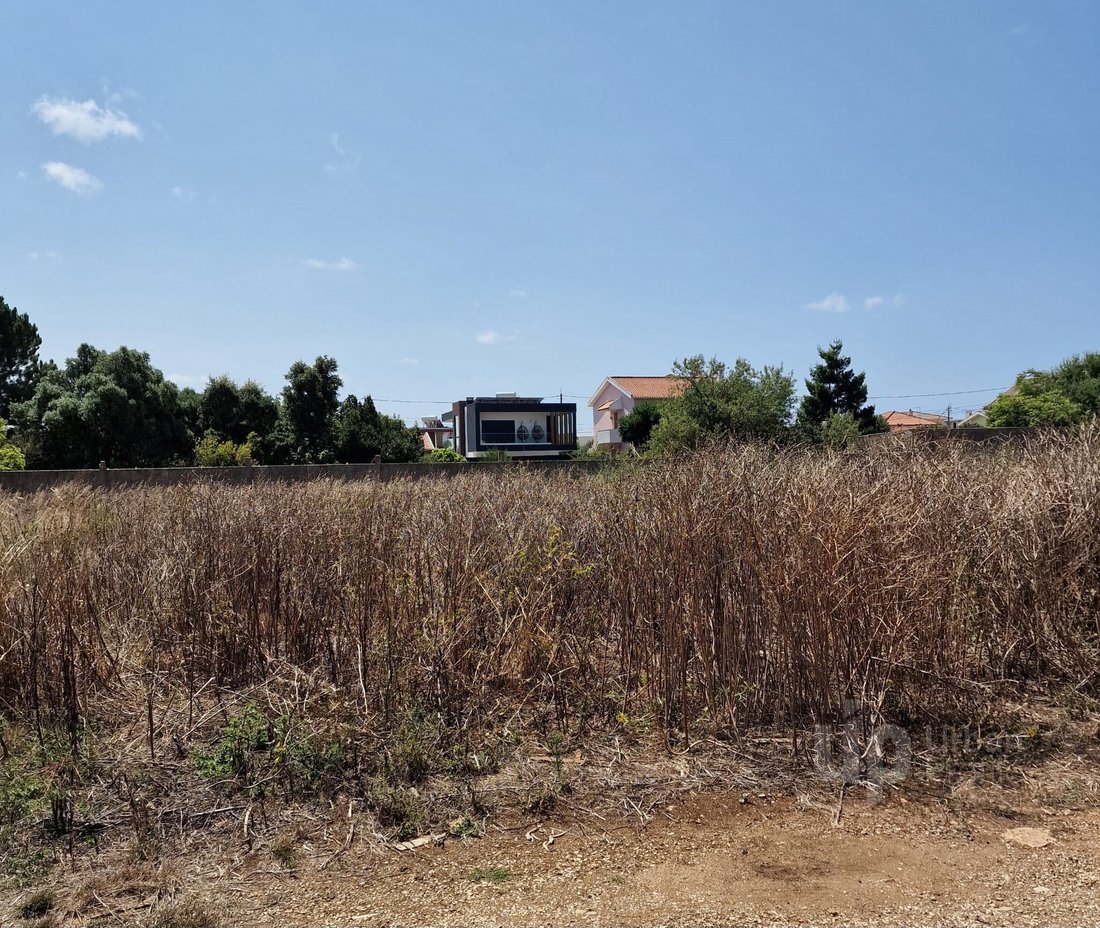 Land in Alcabideche, Lisbon, Portugal 5 - 14501196