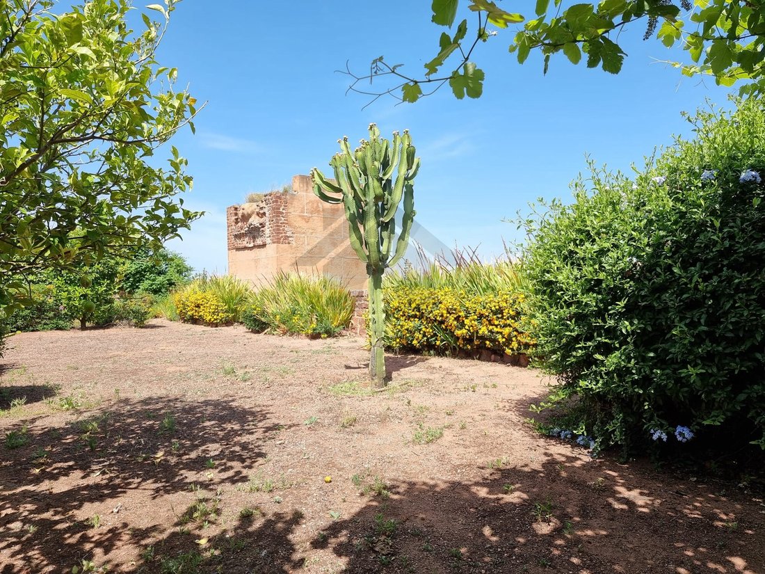 House in Silves, Algarve, Portugal 4 - 12255805