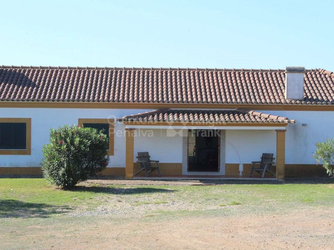 Land in Alcacovas, Évora District, Portugal 5 - 15015748