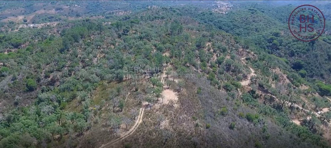 Land in Melides, Setubal, Portugal 2 - 12719111