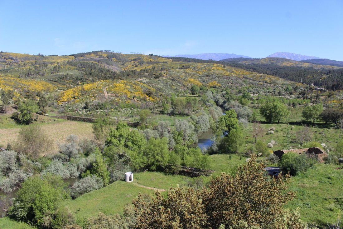 Finca in Barco e Coutada, Castelo Branco District, Portugal 4 - 14995587