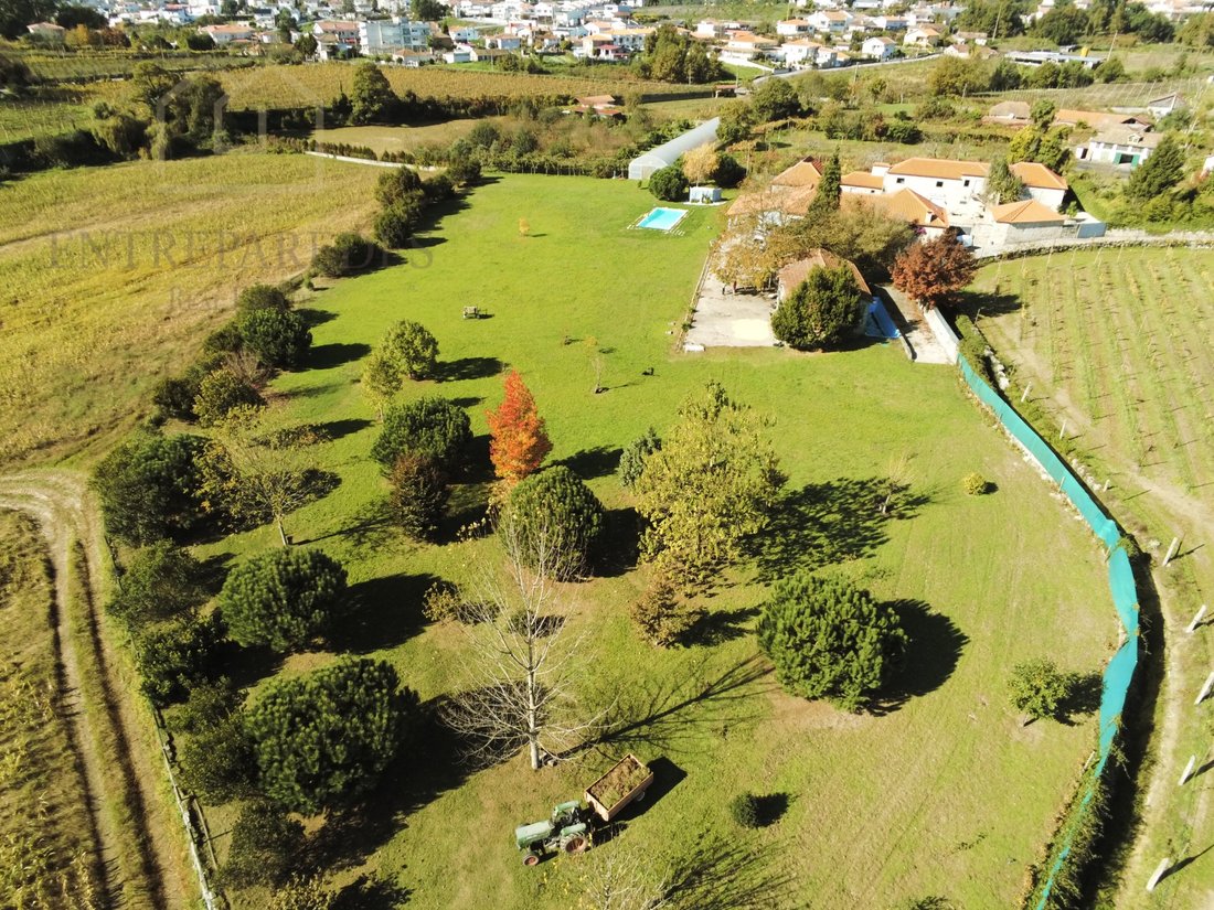 Finca in Astromil, Porto District, Portugal 4 - 16608825