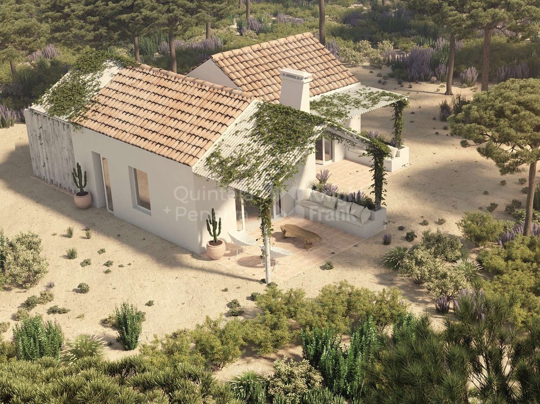 House in Comporta, Setubal, Portugal 1 - 16284919