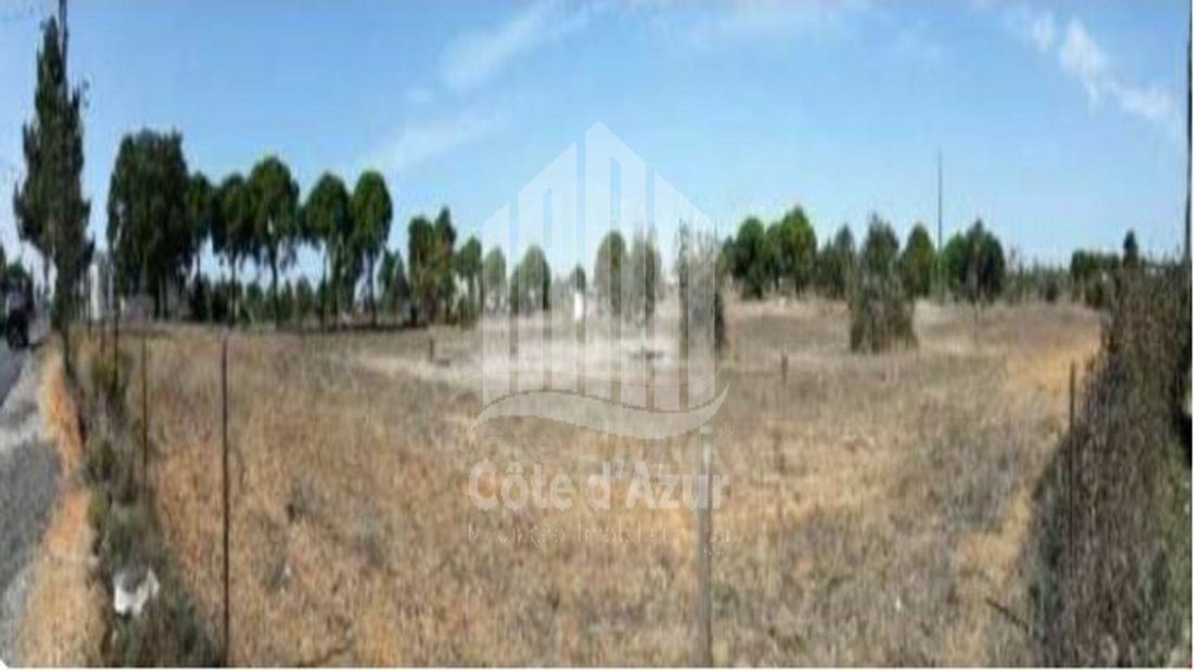 Land in Quinta do Anjo, Setubal, Portugal 4 - 12274548