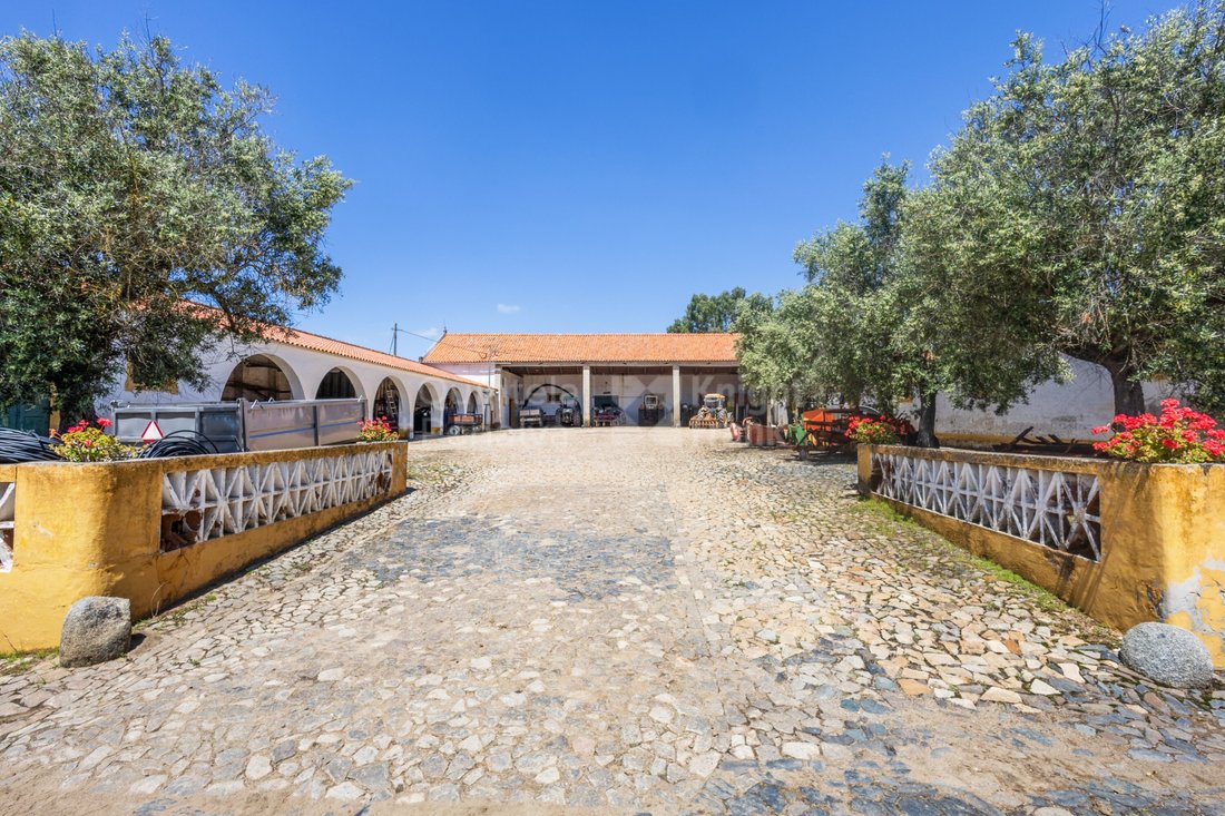 Finca in Campinho, Évora District, Portugal 3 - 15606880