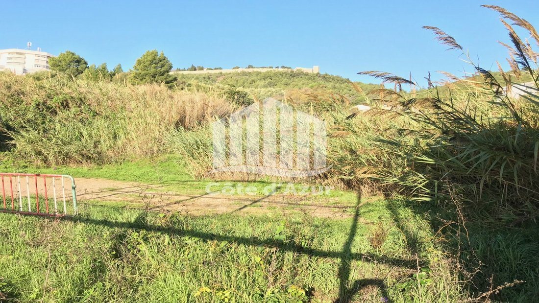 Land in Santiago, Setubal, Portugal 4 - 12274568