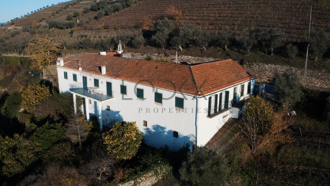 Finca in Sao Cipriano e Vil do Souto, Viseu District, Portugal 3 - 16704285