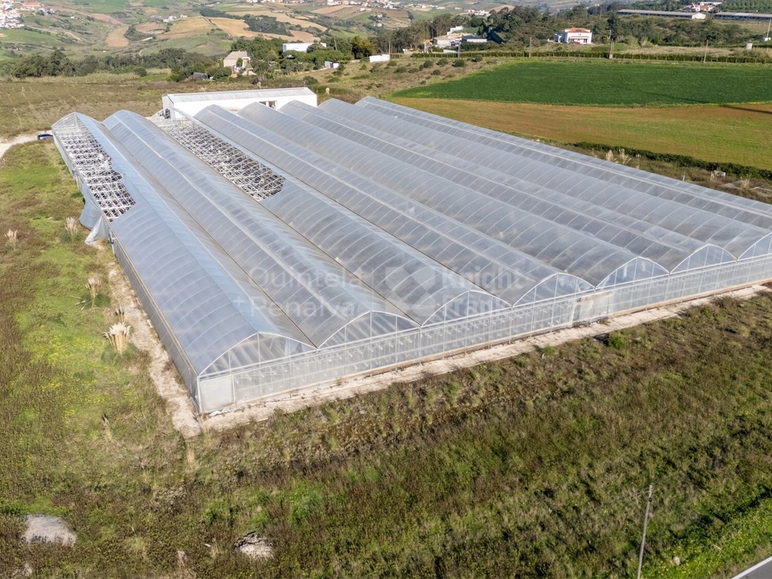 Land in Santo Isidoro, Lisbon, Portugal 1 - 15015483