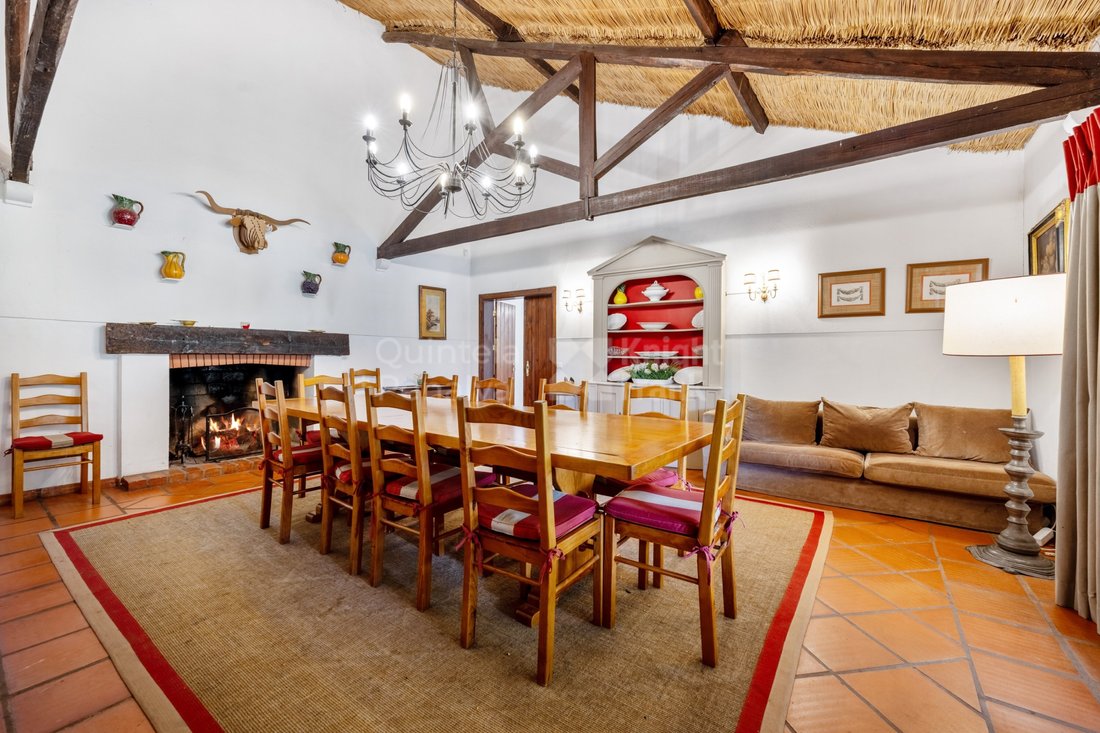 Finca in Almeirim, Santarem District, Portugal 4 - 16472768