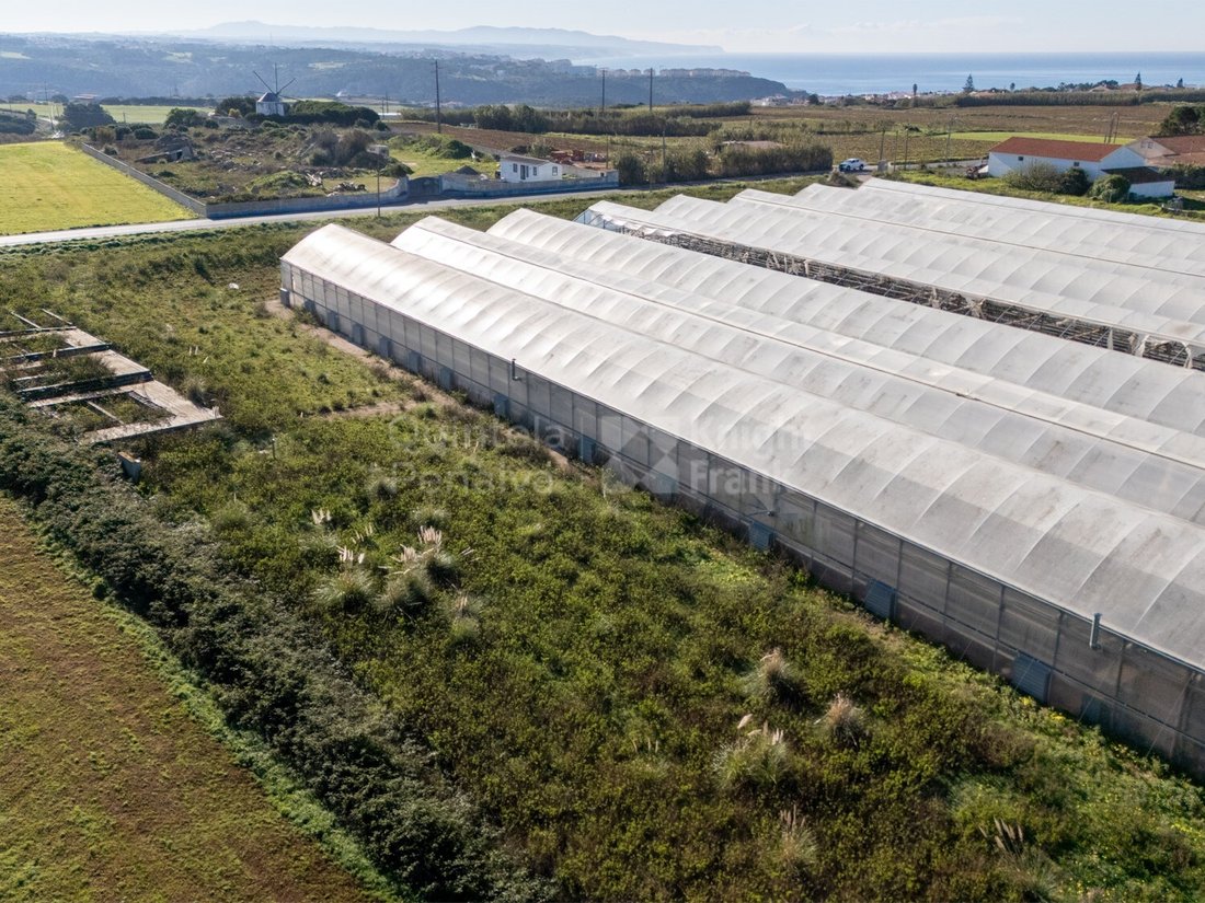 Land in Santo Isidoro, Lisbon, Portugal 3 - 15015483