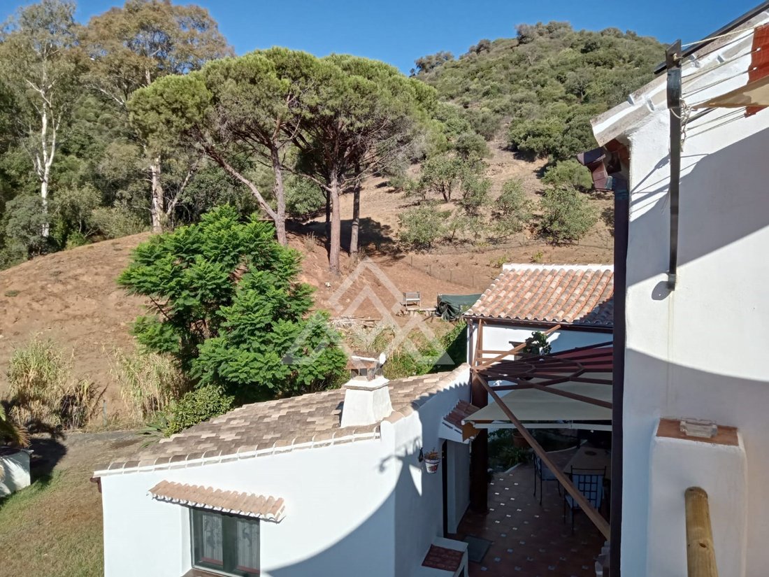 Villa in Casares, Andalusia, Spain 3 - 16358363