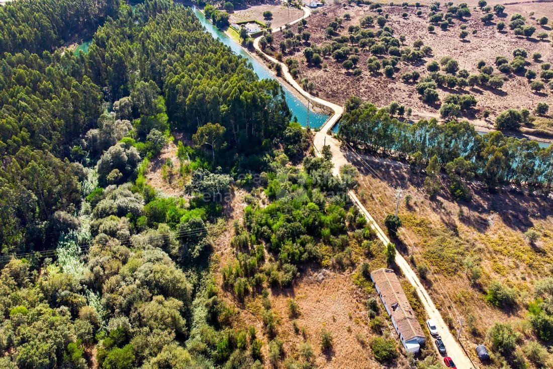 Land in S.Teotónio, Beja District, Portugal 5 - 15015517