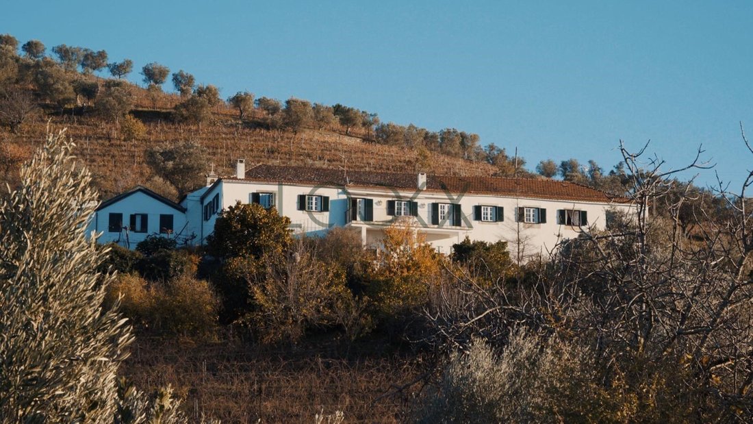 Finca in Sao Cipriano e Vil do Souto, Viseu District, Portugal 5 - 16704285