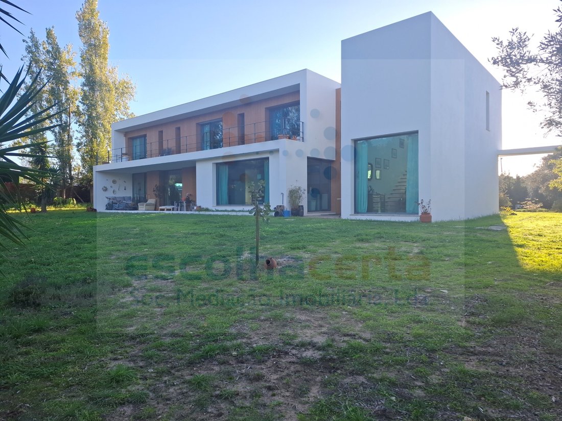Finca in Quinta do Anjo, Setubal, Portugal 2 - 16678358