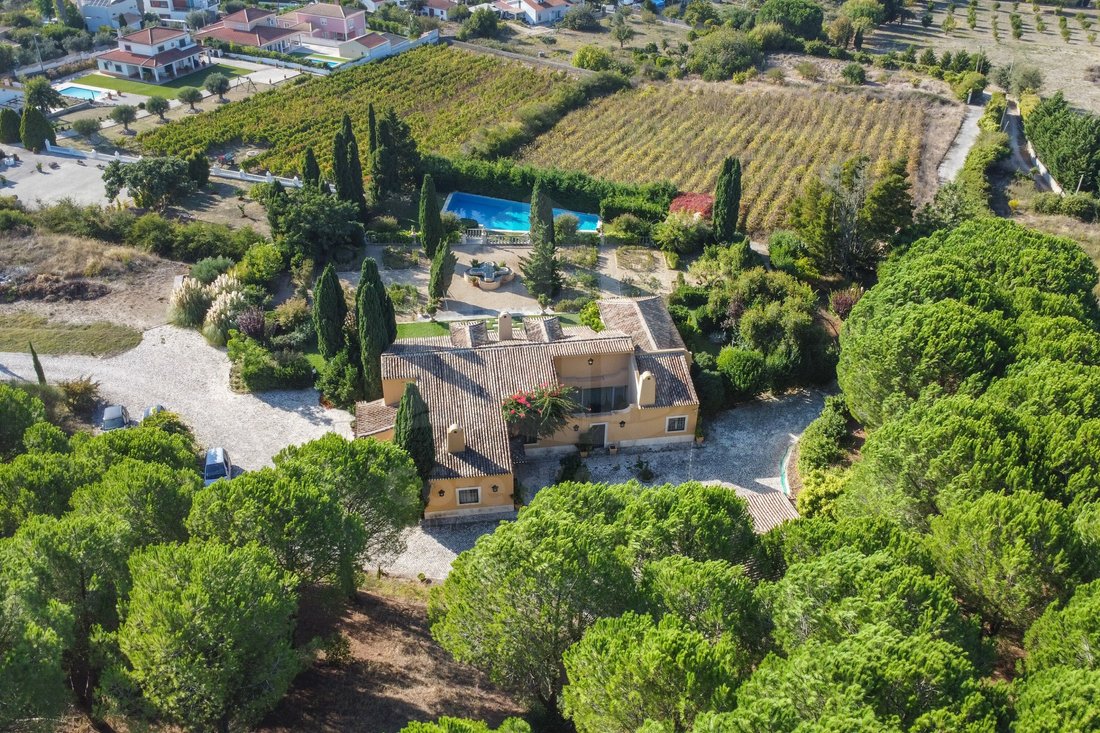 Finca in Azeitao (Sao Lourenco e Sao Simao), Setubal, Portugal 1 - 16315866