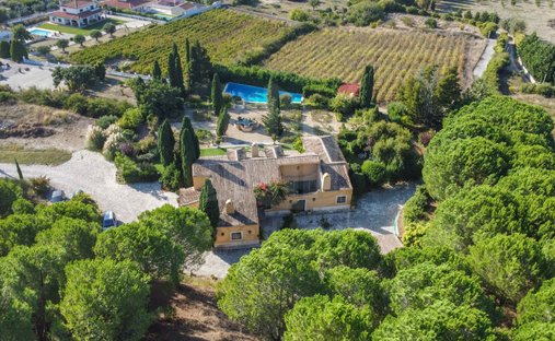 Finca in Azeitao (Sao Lourenco und Sao Simao), Setúbal Municipality, Portugal 1