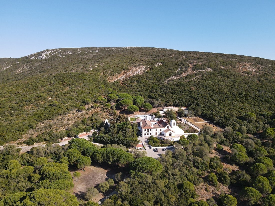 Farm Ranch in Azeitao (Sao Lourenco e Sao Simao), Setubal, Portugal 1 - 14995512