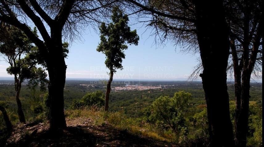 Land in Melides, Setubal, Portugal 2 - 12583414