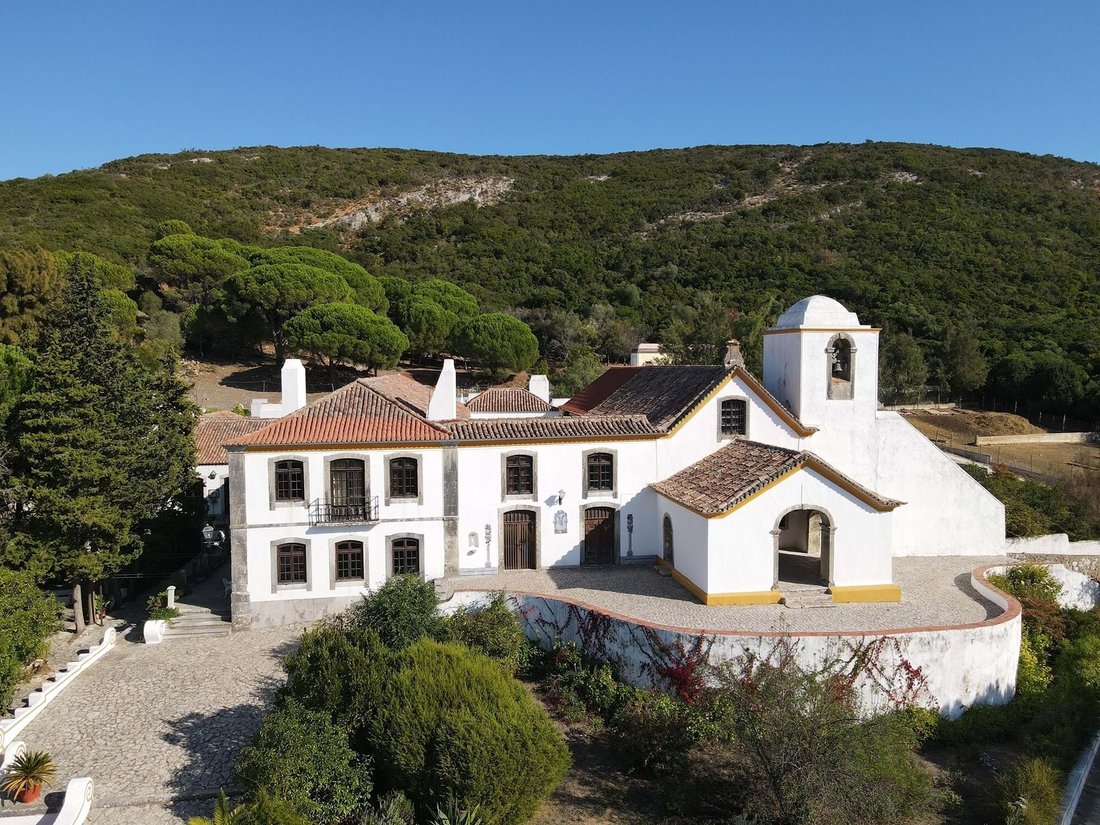 Farm Ranch in Azeitao (Sao Lourenco e Sao Simao), Setubal, Portugal 2 - 14995512
