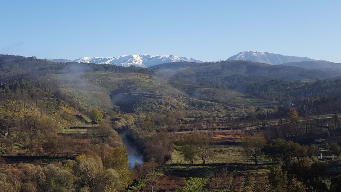 Finca in Barco e Coutada, Castelo Branco District, Portugal 1 - 14995587