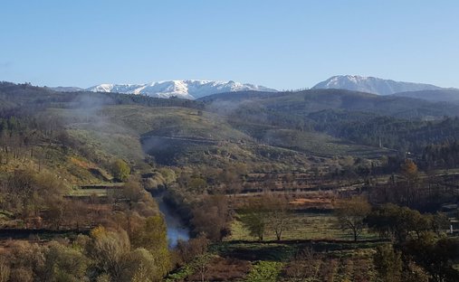 Finca a Barco e Coutada, Distretto di Castelo Branco, Portogallo 1