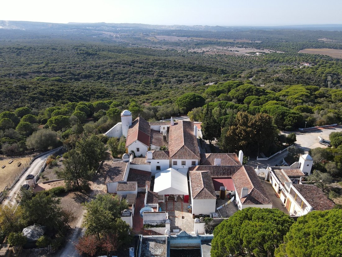 Farm Ranch in Azeitao (Sao Lourenco e Sao Simao), Setubal, Portugal 3 - 14995512