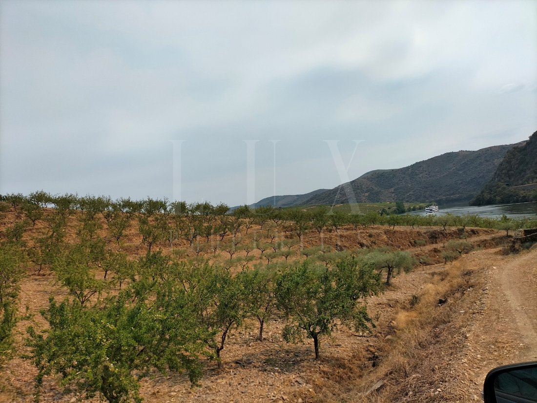Land in Ligares, Braganca District, Portugal 5 - 12274388