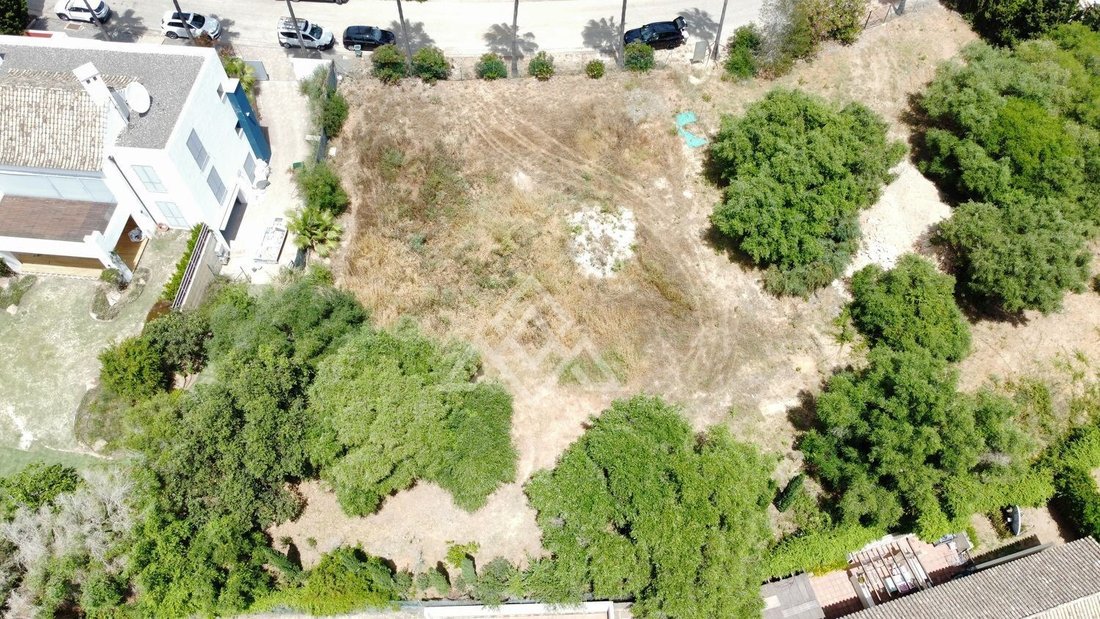 Land in Sotogrande, San Roque, Andalusia 4 - 15872246