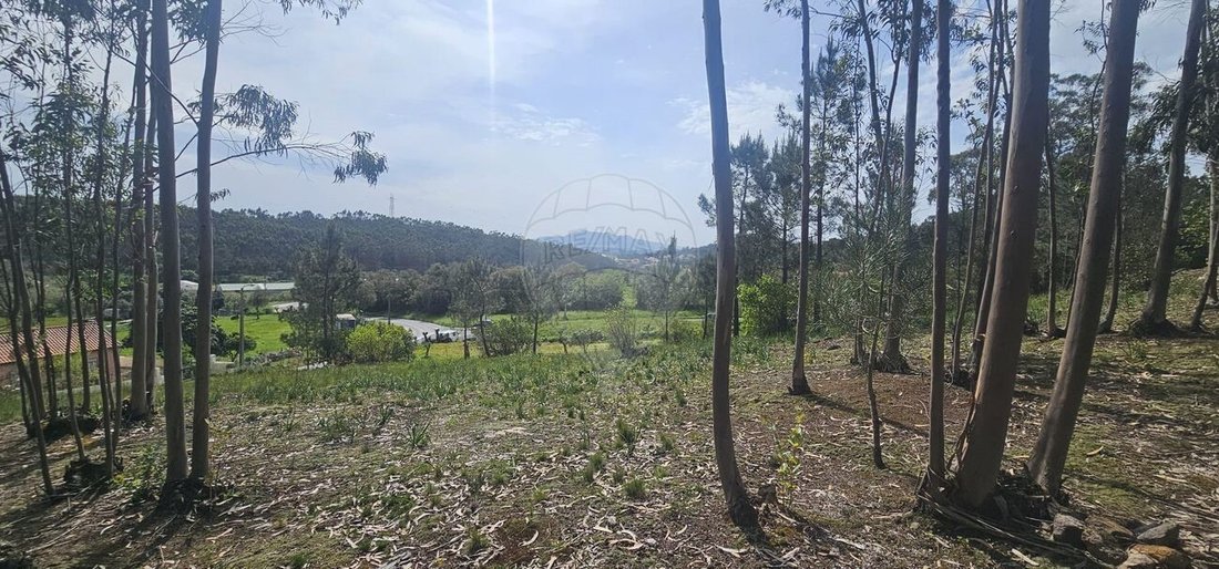 Land in Almargem do Bispo, Lisbon, Portugal 1 - 15956421