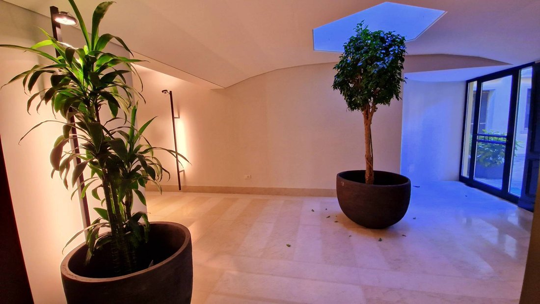 Apartment in Cathedral - Piazza dei Signori, Treviso, Italy 4 - 16555560