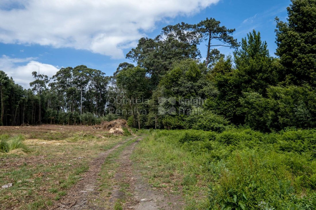 Land in Sao Felix da Marinha, Porto District, Portugal 5 - 15015769