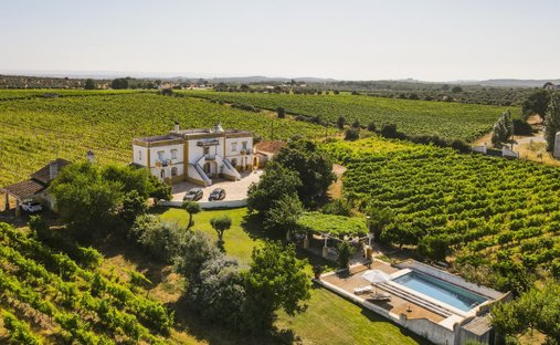 Finca in Estremoz (Santa Maria e Santo Andre), Évora District, Portugal 1