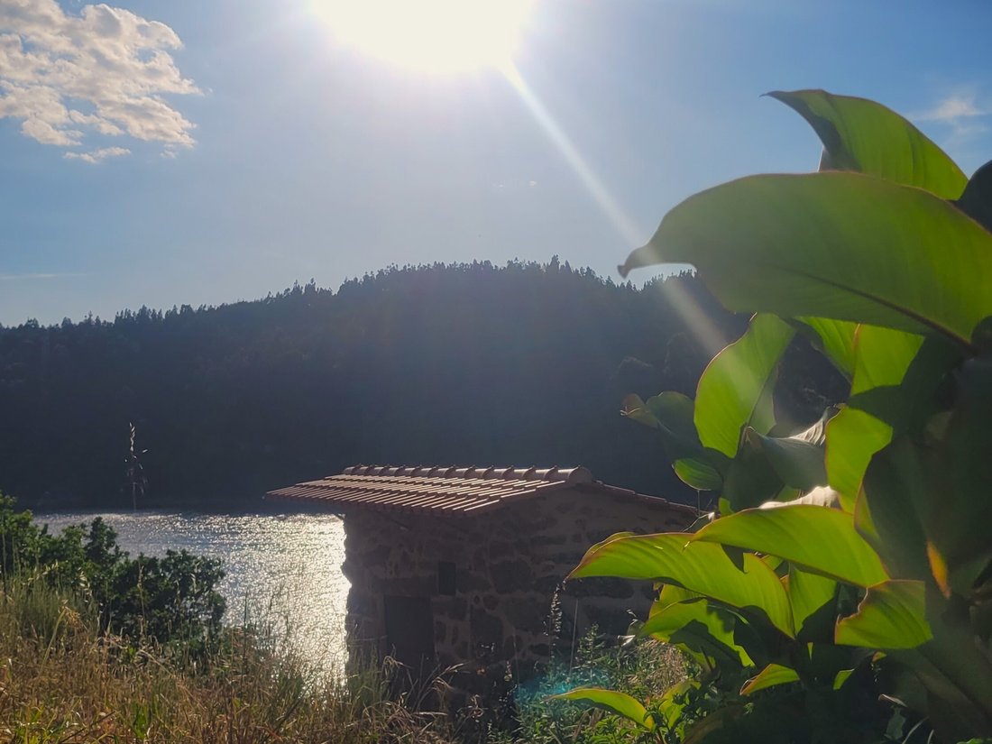 Estate in Povoa de Midoes, Coimbra District, Portugal 5 - 16699287