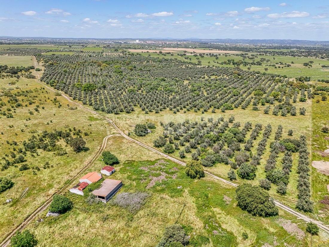 Estate in Reguengos de Monsaraz, Évora District, Portugal 5 - 15606878