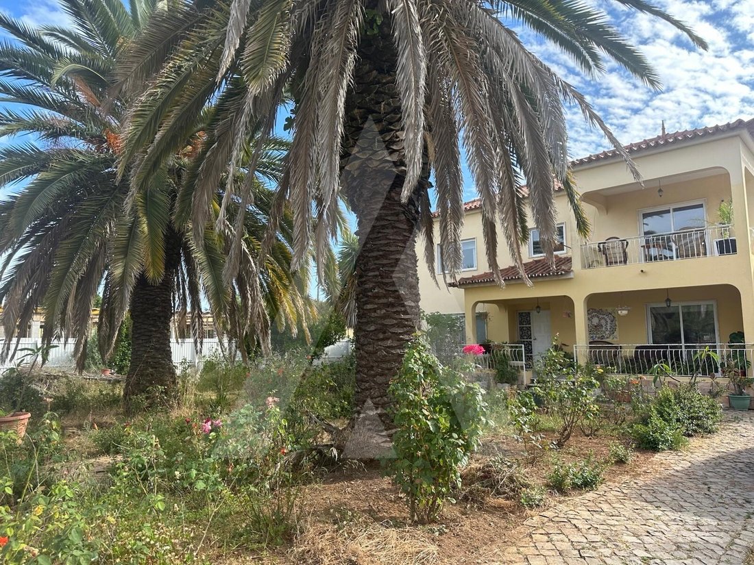 House in Santa Barbara de Nexe, Algarve, Portugal 5 - 15843683