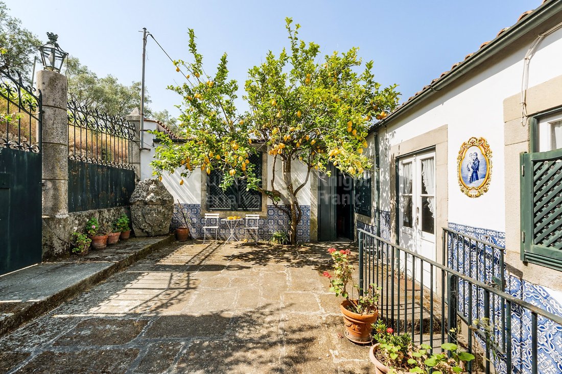 Finca in Sao Cipriano e Vil do Souto, Viseu District, Portugal 3 - 15882301
