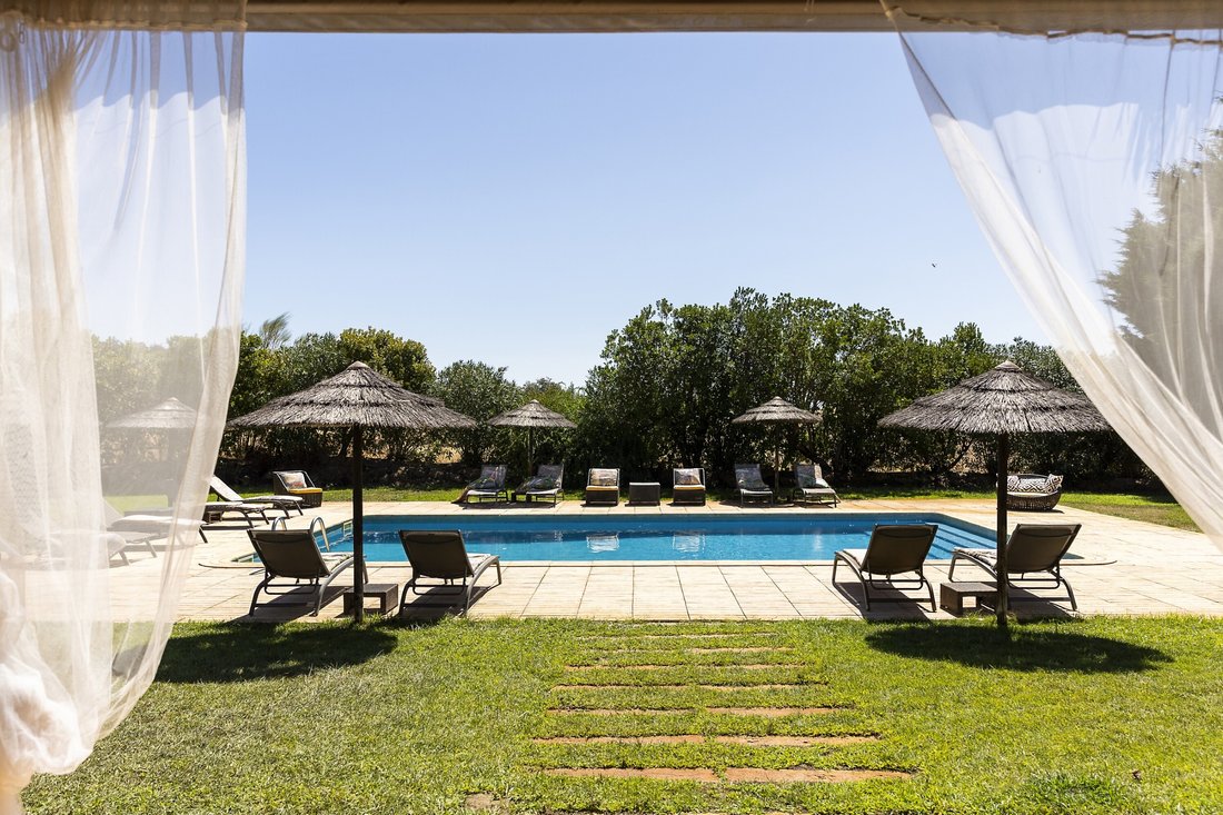 Finca in Redondo, Évora District, Portugal 5 - 16174241