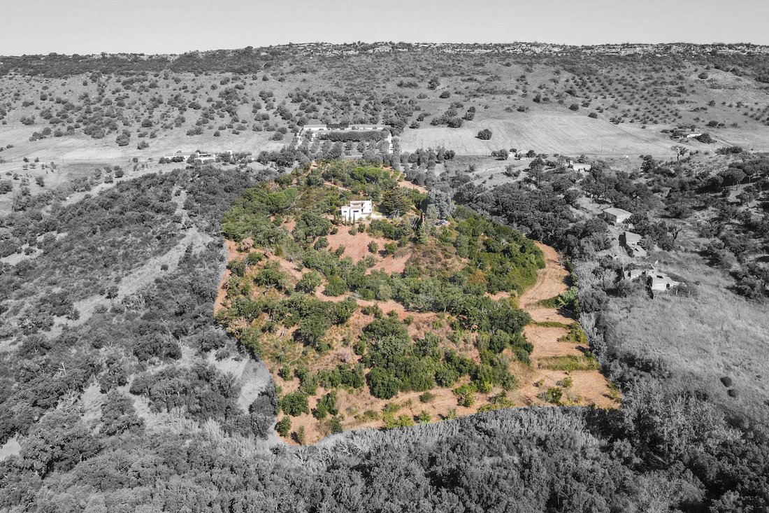 Finca in Palmela, Setubal, Portugal 2 - 16164469