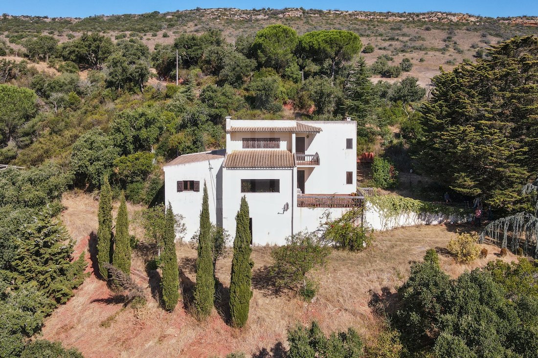 Finca in Palmela, Setubal, Portugal 3 - 16164469