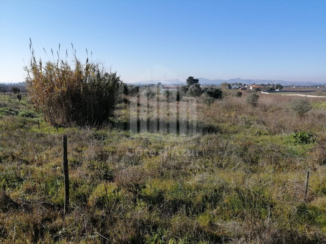 Land in Poceirao e Marateca, Setubal, Portugal 1 - 12393967