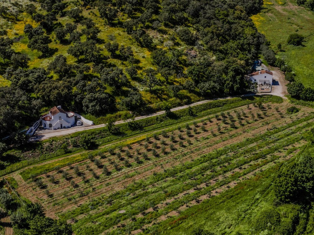 Farm Ranch in Ciladas, Évora District, Portugal 4 - 14995664