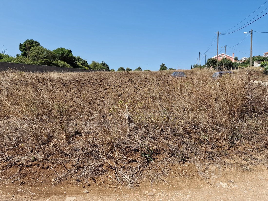 Land in Alcabideche, Lisbon, Portugal 4 - 14501196
