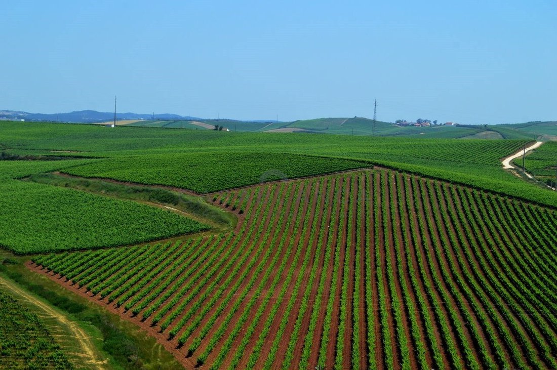 Finca in Santa Maria, Sao Pedro e Matacaes, Lisbon, Portugal 2 - 14780904