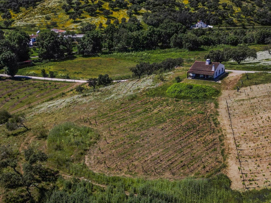Farm Ranch in Ciladas, Évora District, Portugal 5 - 14995664