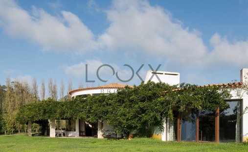 Finca en Santa Maria, Sao Pedro e Sobral da Lagoa, Distrito de Leiria, Portugal 1